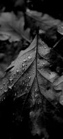 nauture natur fotografie photography